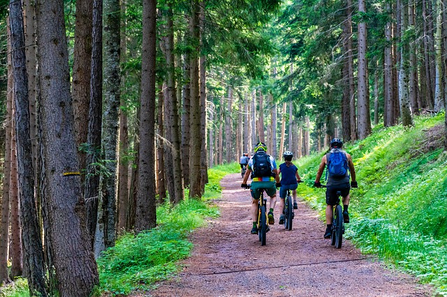 MTB musculos