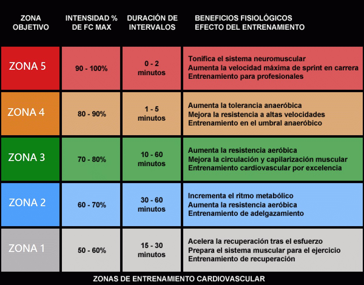 zona de entrenamiento por pulsaciones