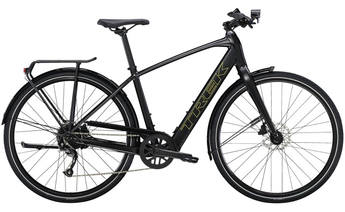 Trek FX+ 2