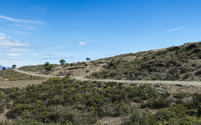 Los paisajes de la Mussara Hunting Dogs Cap de Creus - Foto: P. Mitjans