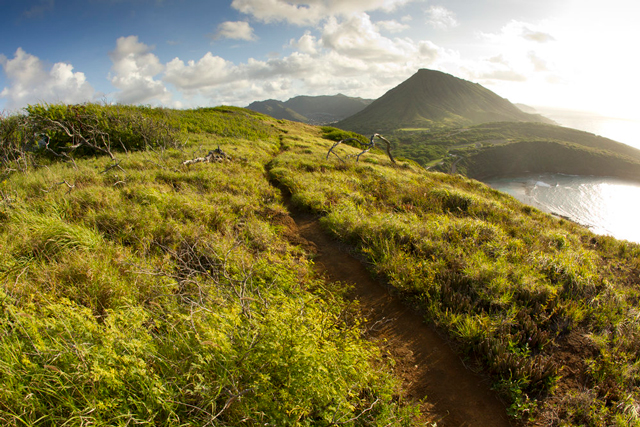SHIMANO Trail Born Fund