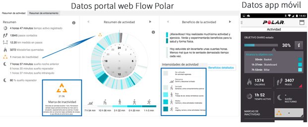 resumen actividad diaria Polar A300