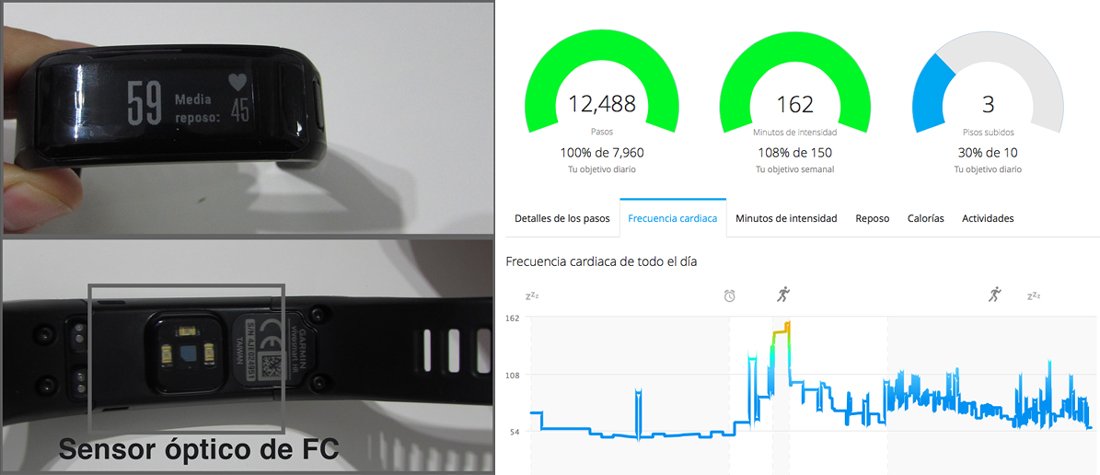 garmin-vivosmart-HR-sensor-pulso-grafica
