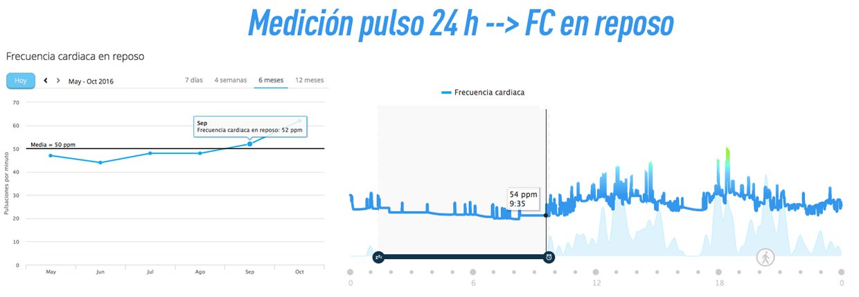 registro-24-horas-frecuencia-cardicaca-reposo