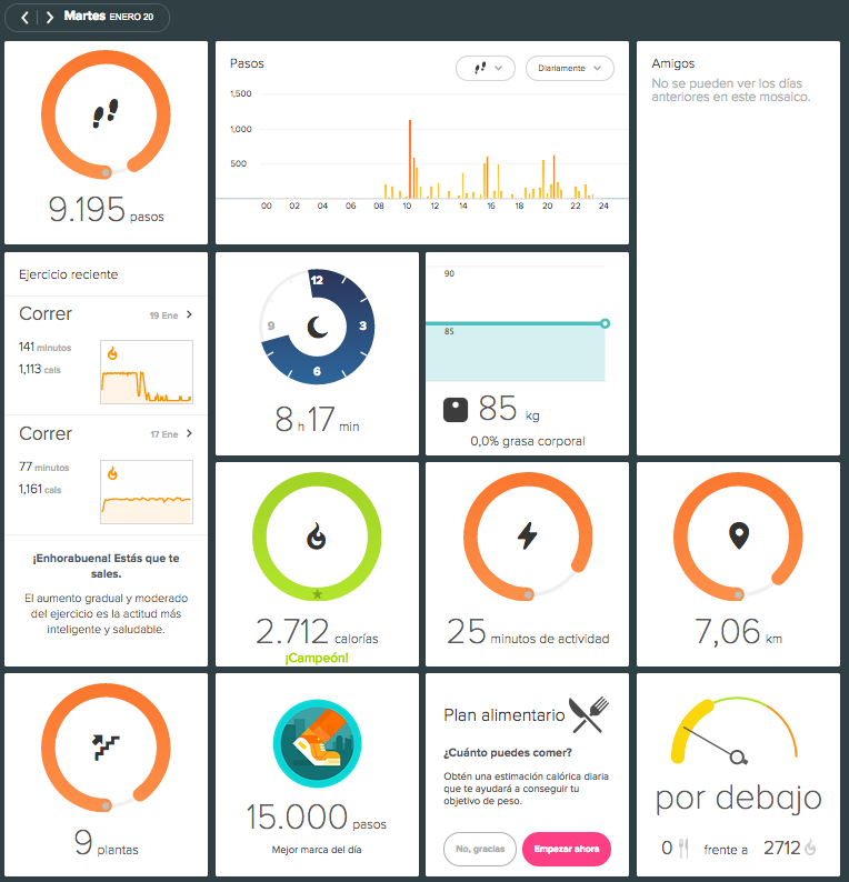 fitbit web