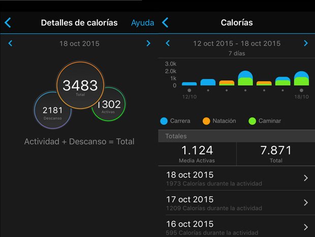 calorias-vivofit-2