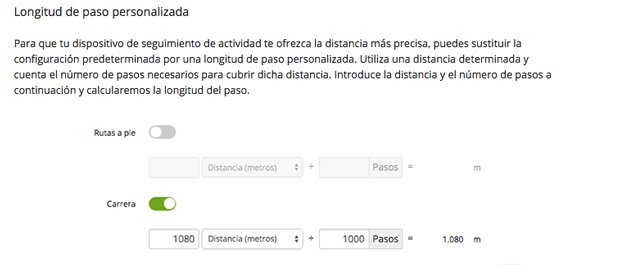 vivofit-2-long-paso-personalizada
