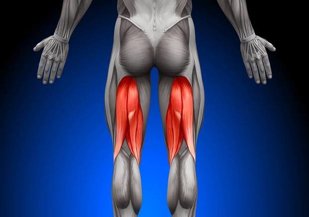 Test de evaluación de molestias y dolor en la parte posterior del muslo, es decir en los músculos isquiotibiales. Normalmente este problema es debido a un espasmo o acortamiento muscular, similar a lo que solemos llamar contractura.