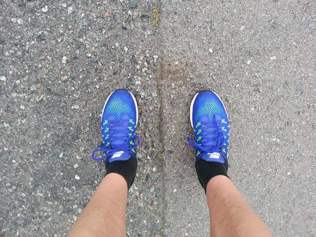 nike-pegasus-33-007