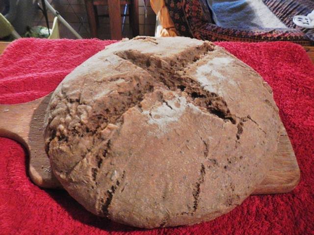 hacer pan ecologico horno046