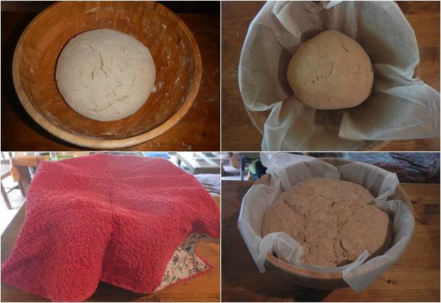 pan ecologico receta