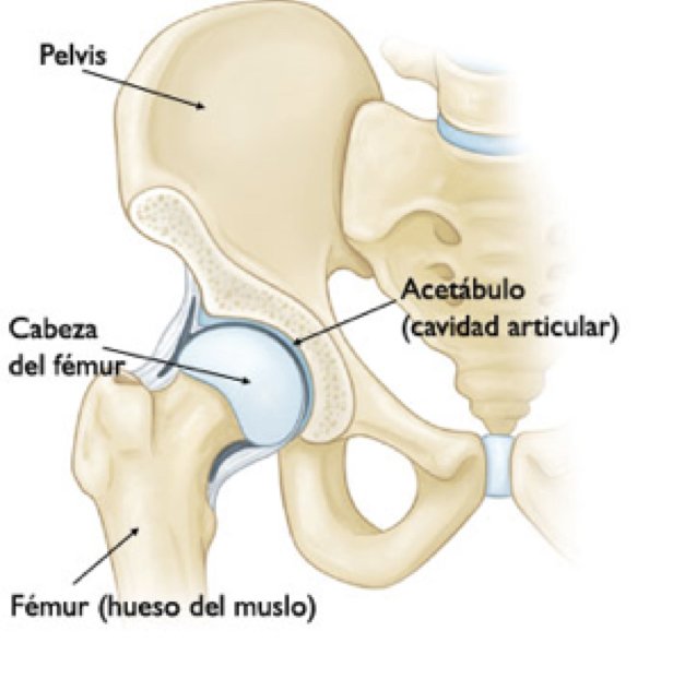 Dolor de cadera al correr