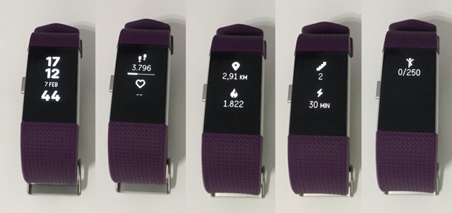Fitbit Charge 2: datos de actividad diaria