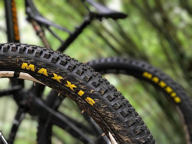 Selección de mejores cubiertas MTB