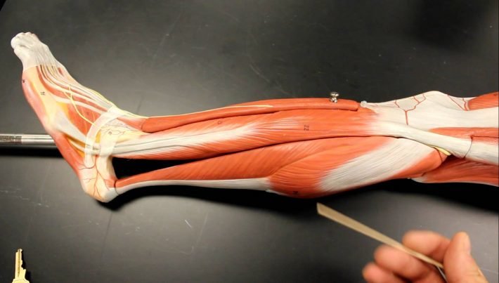 Tendinitis peroneos, Tratamiento