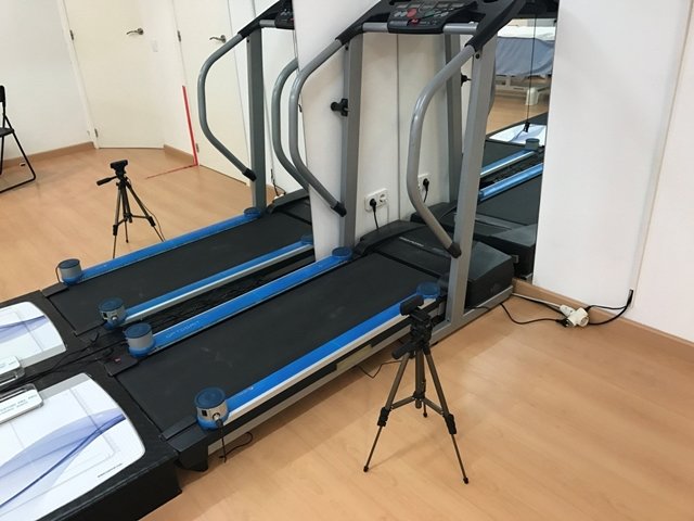 optogait software