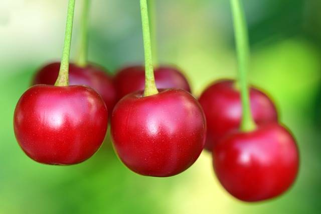 Mitos y verdades sobre frutas y verduras