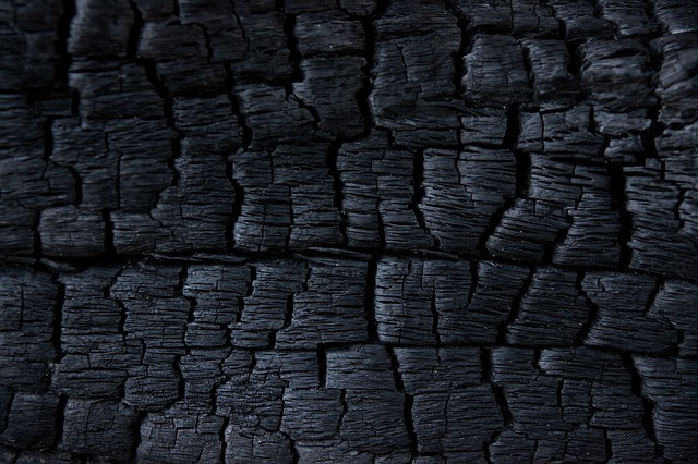 carbon vegetal activado beneficios y opiniones