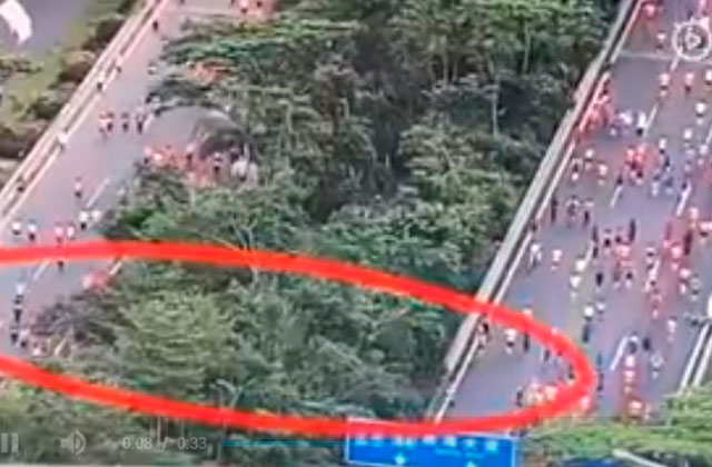 Imagen que caza a varios corredores recortando por el bosque