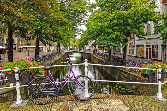 bicicletas ciclismo amsterdam
