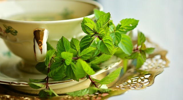 té verde estimulante