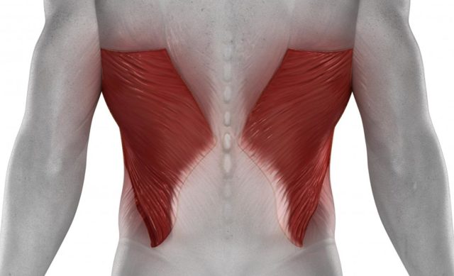 ejercicios dorsales fitness