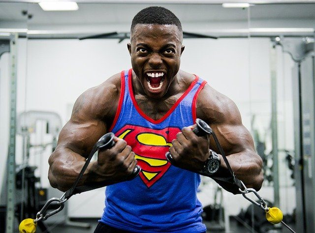 entrenamiento de fuerza o hipertrofia