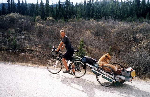 Svein tuft nomada