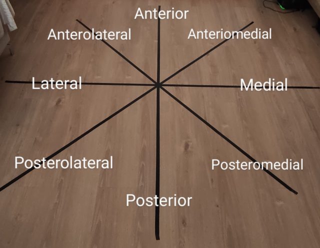 Star Excursión Balance Test (SEBT)