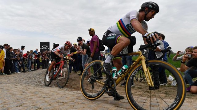 Roban bicicleta peter sagan