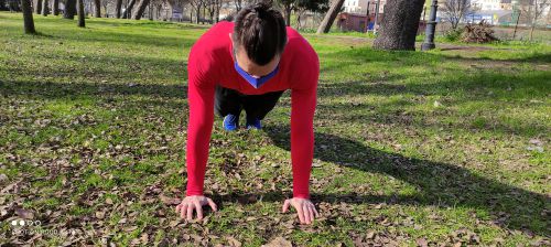 flexiones principiantes