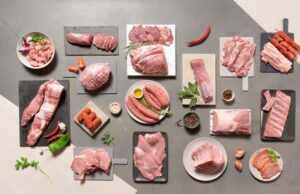 proteína animal
