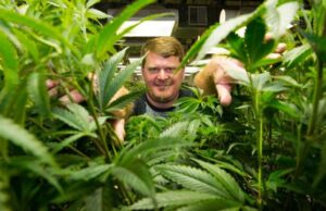 Floyd landis cannabis tour de francia