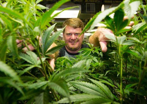 Floyd landis cannabis tour de francia