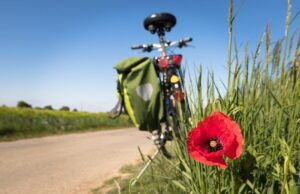 ventajas de montar en bicicleta