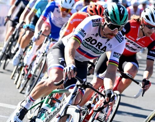 peter sagan aluminio