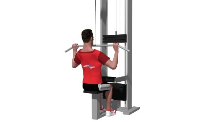 entrenamiento espalda ejercicios