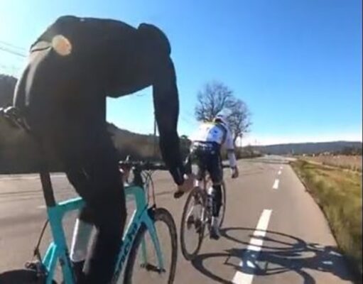 alaphilipe aficionados