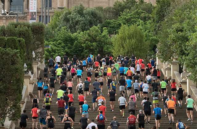 Salomon Run 2022