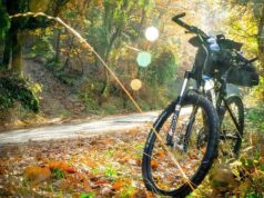cada cuanto hay que cambiar la bicicleta