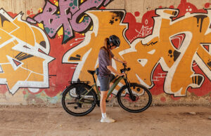 Shimano informe