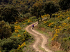 la gravelera
