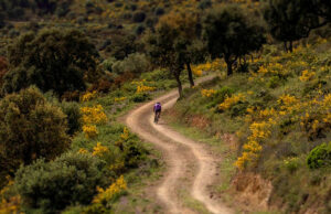 la gravelera