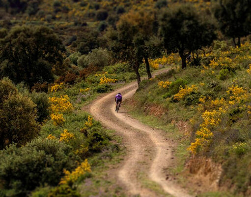 la gravelera