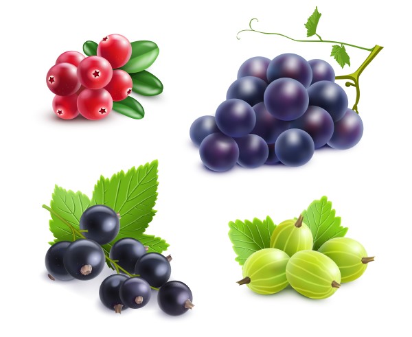 resveratrol