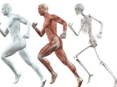 osteoporosis como combatir
