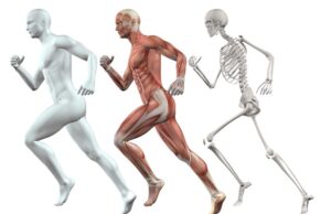 osteoporosis como combatir