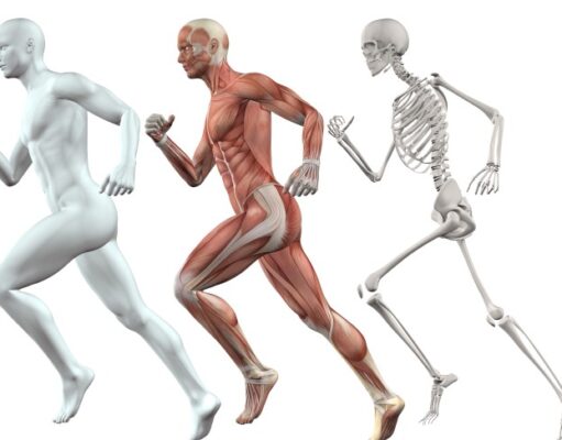 osteoporosis como combatir