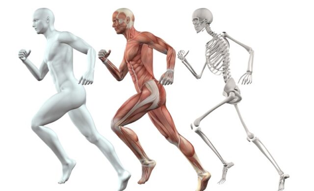 osteoporosis como combatir