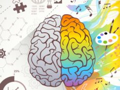 energía y cerebro